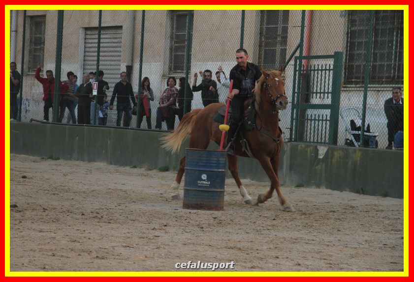 161106 equestre 046_tn.jpg